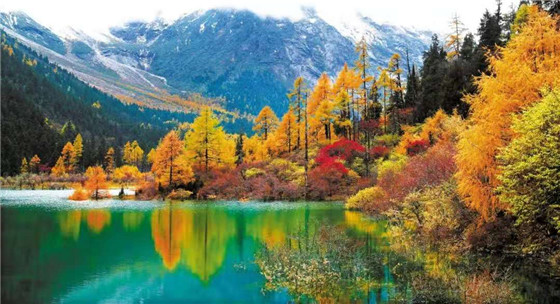 微信图片_20210925110353.jpg 微信图片_20210925110353.jpg