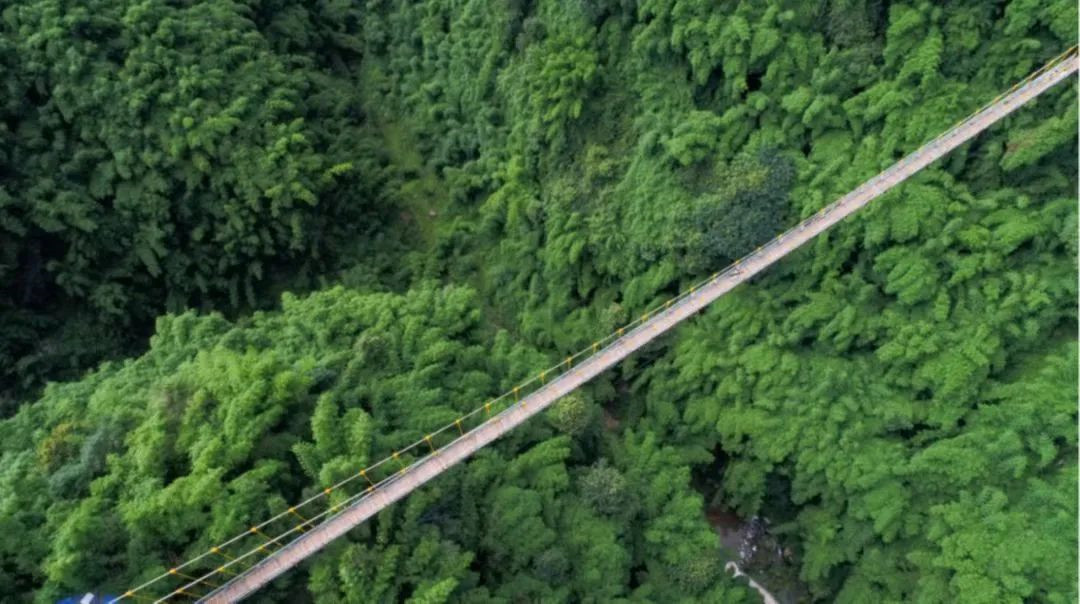 微信图片_20221008183318.jpg 微信图片_20221008183318.jpg