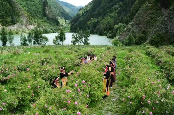 微信图片_20221030122743.jpg 微信图片_20221030122743.jpg