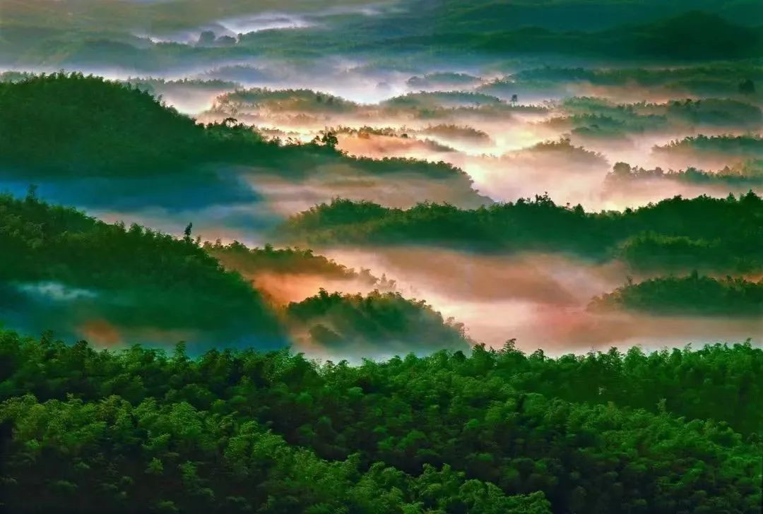 微信图片_20221008183246.jpg 微信图片_20221008183246.jpg