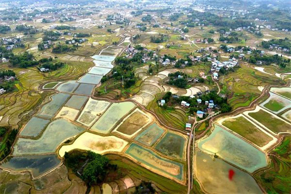 微信图片_20221024144903.jpg 微信图片_20221024144903.jpg