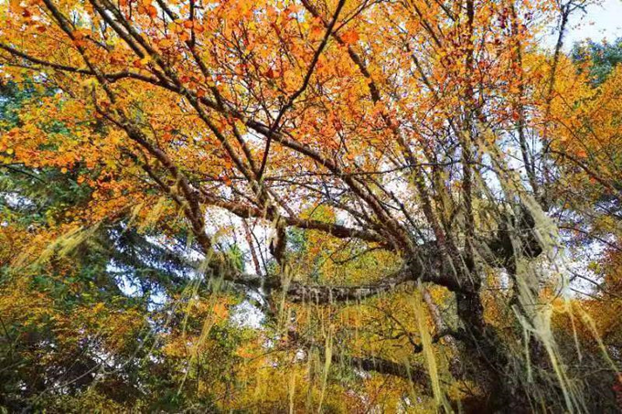 微信图片_20221101144901.jpg 微信图片_20221101144901.jpg