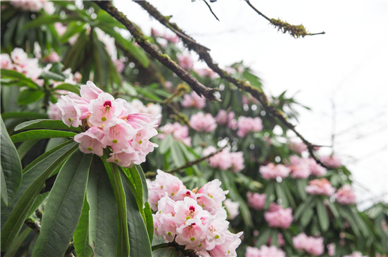 微信图片_20220330144533.png 微信图片_20220330144533.png