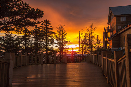 微信图片_20220330144539.jpg 微信图片_20220330144539.jpg