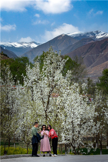 微信图片_20220324142205.jpg 微信图片_20220324142205.jpg