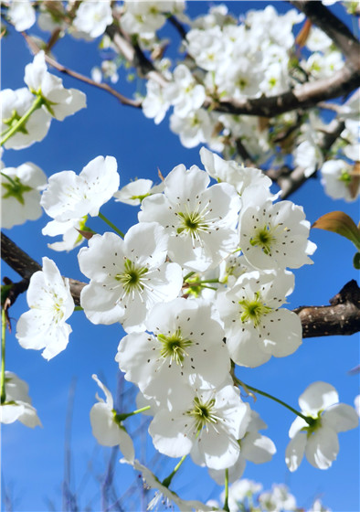 微信图片_20220324142354.jpg 微信图片_20220324142354.jpg