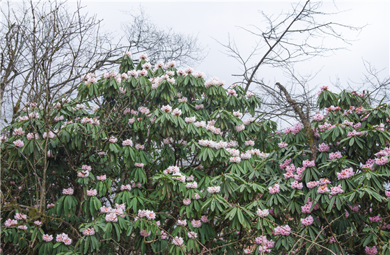 微信图片_20220330144524.png 微信图片_20220330144524.png