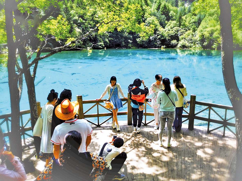 a81efce8f04c41b7847615b666fee124.jpg a81efce8f04c41b7847615b666fee124.jpg