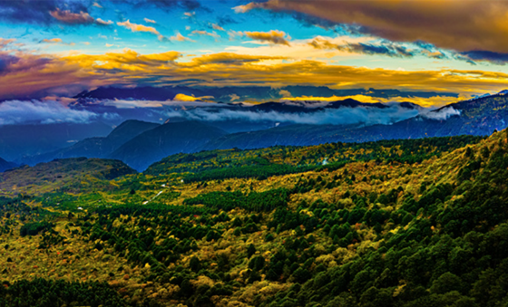 bddf37fc1f2c603aec2c936cca086e5.png bddf37fc1f2c603aec2c936cca086e5.png