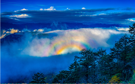 bf89a784e96214afc78d825dad615f5.png bf89a784e96214afc78d825dad615f5.png