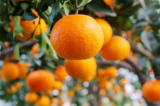 1732673721646.jpg 1732673721646.jpg