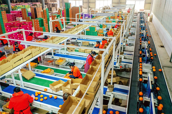 1732673740522.png 1732673740522.png