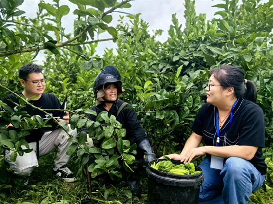 1732594895690.png 1732594895690.png