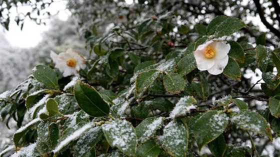 1734184847981.jpg 1734184847981.jpg