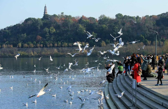 1733715106258.jpg 1733715106258.jpg