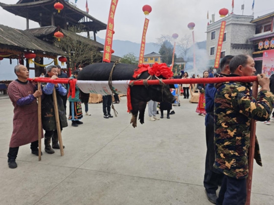 1734836626672.jpg 1734836626672.jpg