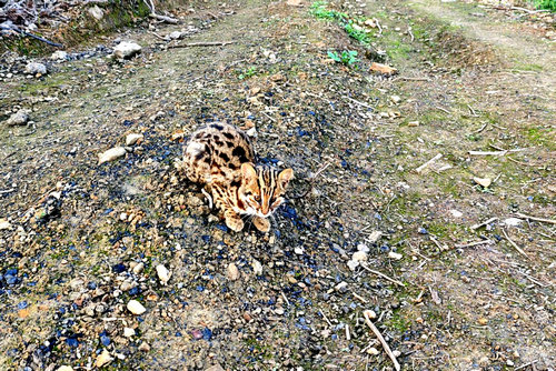 1733800204923.jpg 1733800204923.jpg