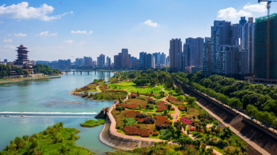 1733715137708.jpg 1733715137708.jpg