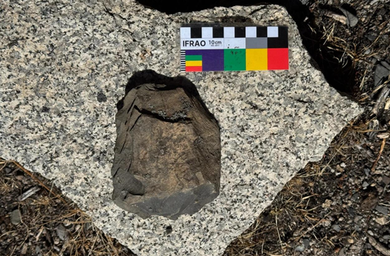 c165b4a19f39ca433b9a3f97f8ccea2.png c165b4a19f39ca433b9a3f97f8ccea2.png