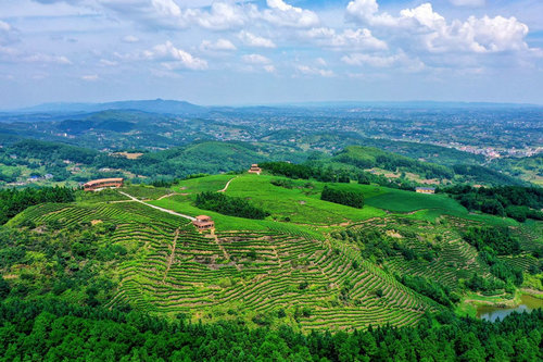 1733800249227.jpg 1733800249227.jpg