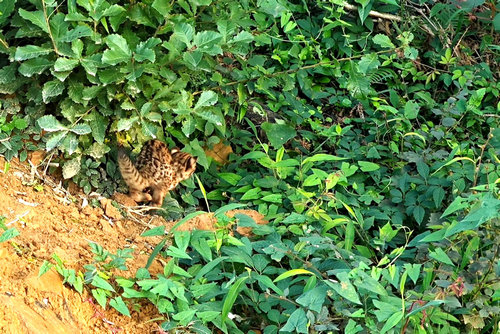 1733800229477.jpg 1733800229477.jpg