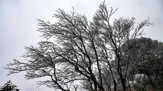 1734184896871.jpg 1734184896871.jpg