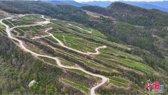 5d61ec25d2ed8aee7e078aa43df675b.png 5d61ec25d2ed8aee7e078aa43df675b.png