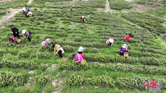 3402c412df88df76dd58976f814ce60.png 3402c412df88df76dd58976f814ce60.png