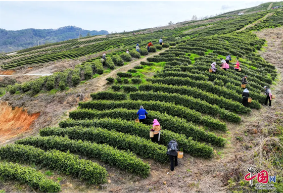 cd68fa79fcbc1cd8473a0778619ba34.png cd68fa79fcbc1cd8473a0778619ba34.png