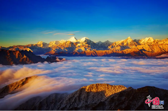 413d986fdfafced5f2341861662b16d.png 413d986fdfafced5f2341861662b16d.png