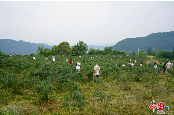 0ef73eaa957e982194b361b981786e9.png 0ef73eaa957e982194b361b981786e9.png