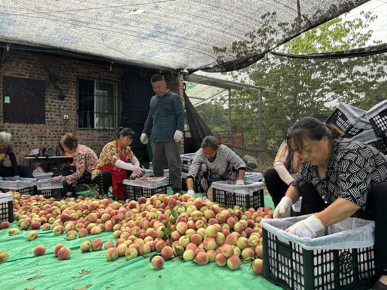 1716861689859.jpg 1716861689859.jpg