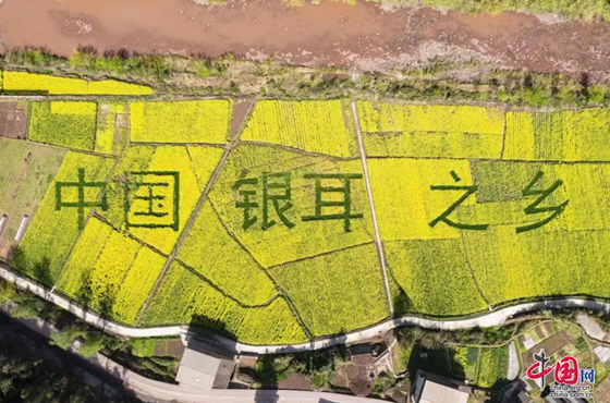 b447cc92dbe6c6ca257784712ff35b7.png b447cc92dbe6c6ca257784712ff35b7.png