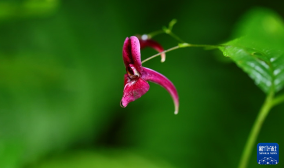 5c0356076bcf4c2f66ad8e4cbbd996a.png 5c0356076bcf4c2f66ad8e4cbbd996a.png