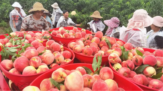 b0d01b002416247fb8b3ead320d59b8.png b0d01b002416247fb8b3ead320d59b8.png