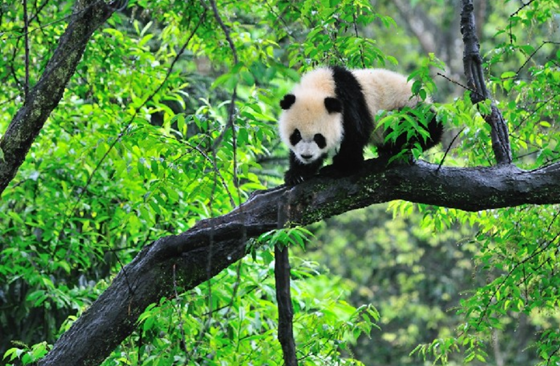 d185cb31cf5b60c1307a6b330a4f3e4.png d185cb31cf5b60c1307a6b330a4f3e4.png