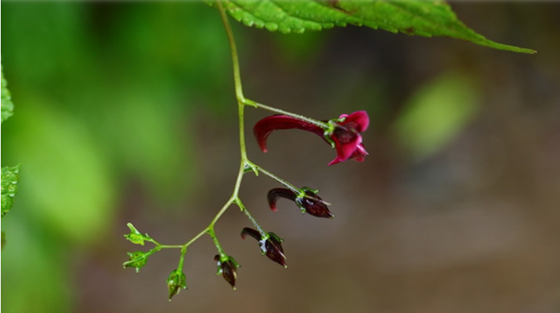 e99ea6f873911d9a04b71f610220492.png e99ea6f873911d9a04b71f610220492.png