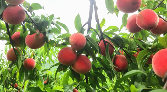 6cfb4b0dcd206d70421297ac50cf1f6.png 6cfb4b0dcd206d70421297ac50cf1f6.png