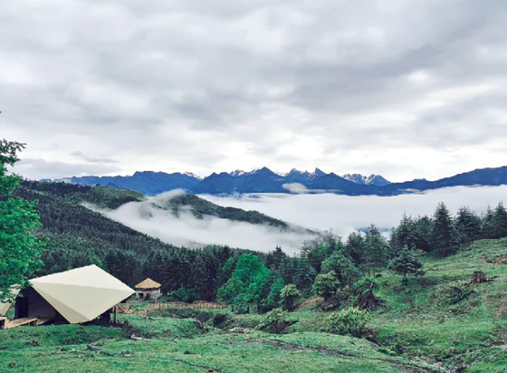 de719135a83feb9e4c1f516a33f7c2f.png de719135a83feb9e4c1f516a33f7c2f.png