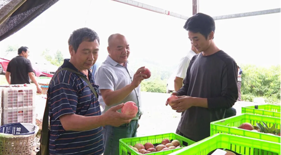 103d6219897ce98f5448b3200c8a23b.png 103d6219897ce98f5448b3200c8a23b.png