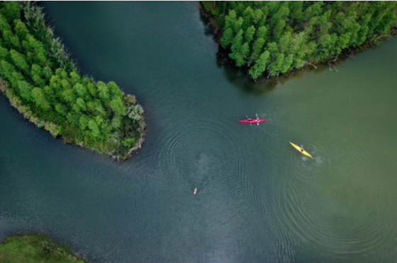 98a90e8511f1ba6457b33f6dc036e0f.png 98a90e8511f1ba6457b33f6dc036e0f.png