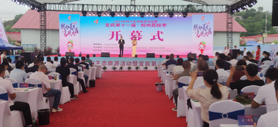 3ececd57bfa91ec5d5b5e040762e7ee.png 3ececd57bfa91ec5d5b5e040762e7ee.png