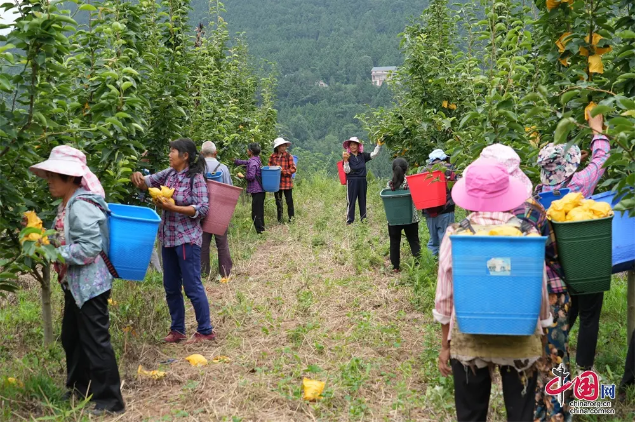 afa205ea93157b7584b19e4235638a6.png afa205ea93157b7584b19e4235638a6.png