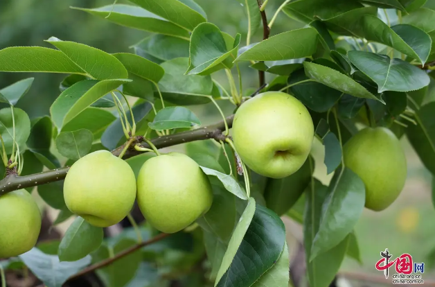 56225fd87e3327bf3167ddc6e5556ec.png 56225fd87e3327bf3167ddc6e5556ec.png