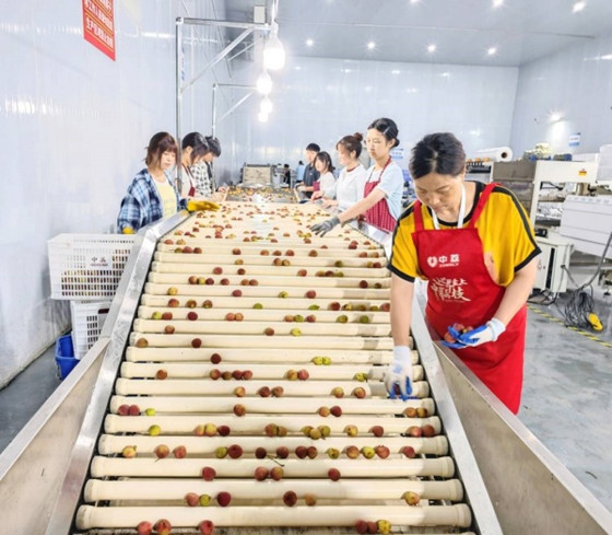 1721613435652.jpg 1721613435652.jpg