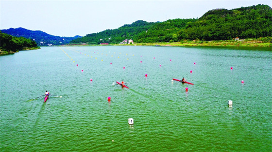 1721802092399.jpg 1721802092399.jpg