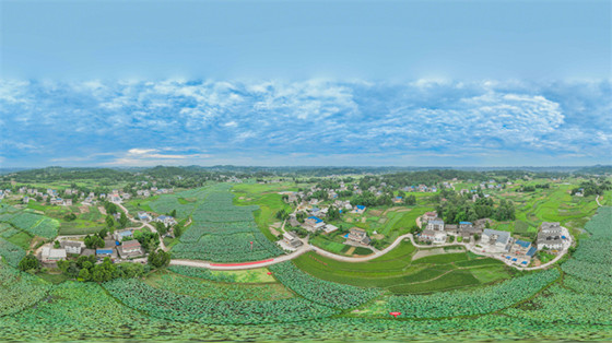 1723606561611.jpg 1723606561611.jpg