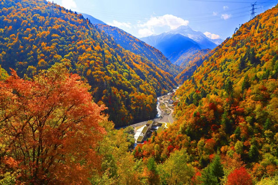 a111195238e0b3c2a494256bbd3358a.jpg a111195238e0b3c2a494256bbd3358a.jpg