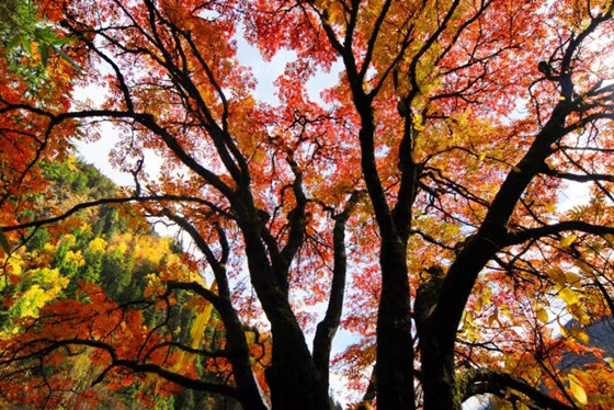 afb1afde0f7aac0a15456f0b7775826.jpg afb1afde0f7aac0a15456f0b7775826.jpg