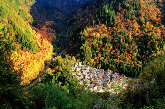 0fe7096b532865dfc1965e0ab6e1045.jpg 0fe7096b532865dfc1965e0ab6e1045.jpg